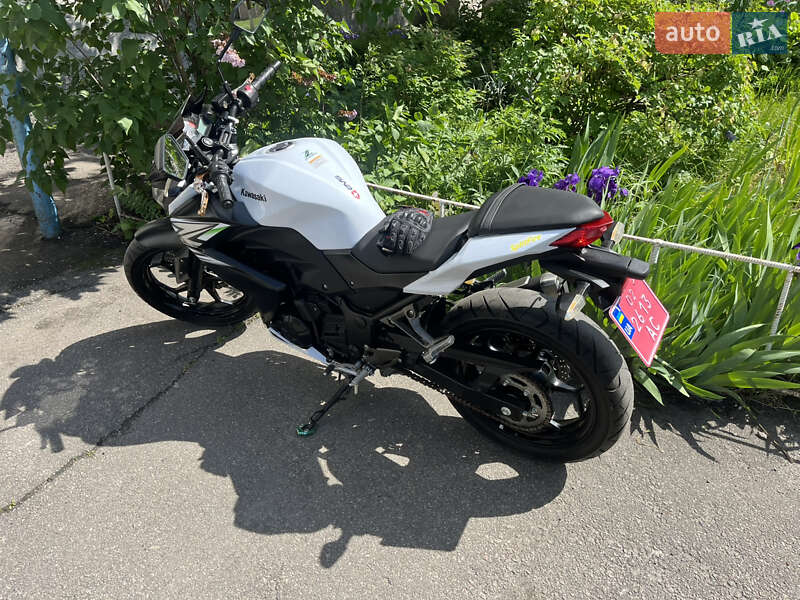 Мотоцикл Без обтікачів (Naked bike) Kawasaki Z 2014 в Кагарлику