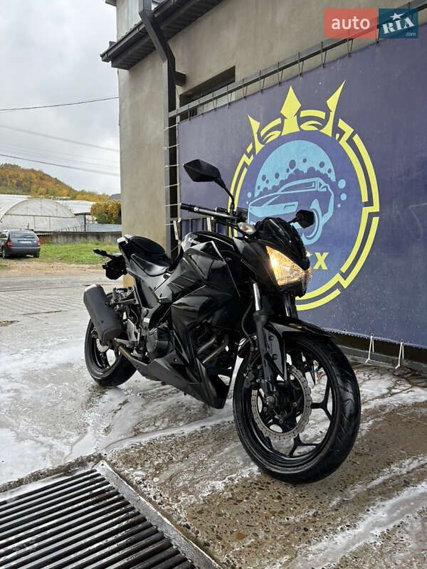 Мотоцикл Без обтекателей (Naked bike) Kawasaki Z 2014 в Виноградове