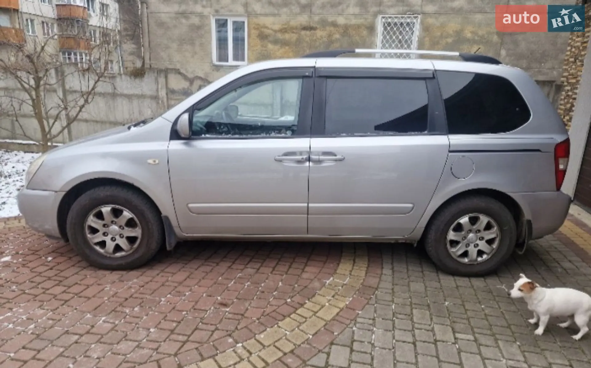 2010 Kia Carnival - фото 1