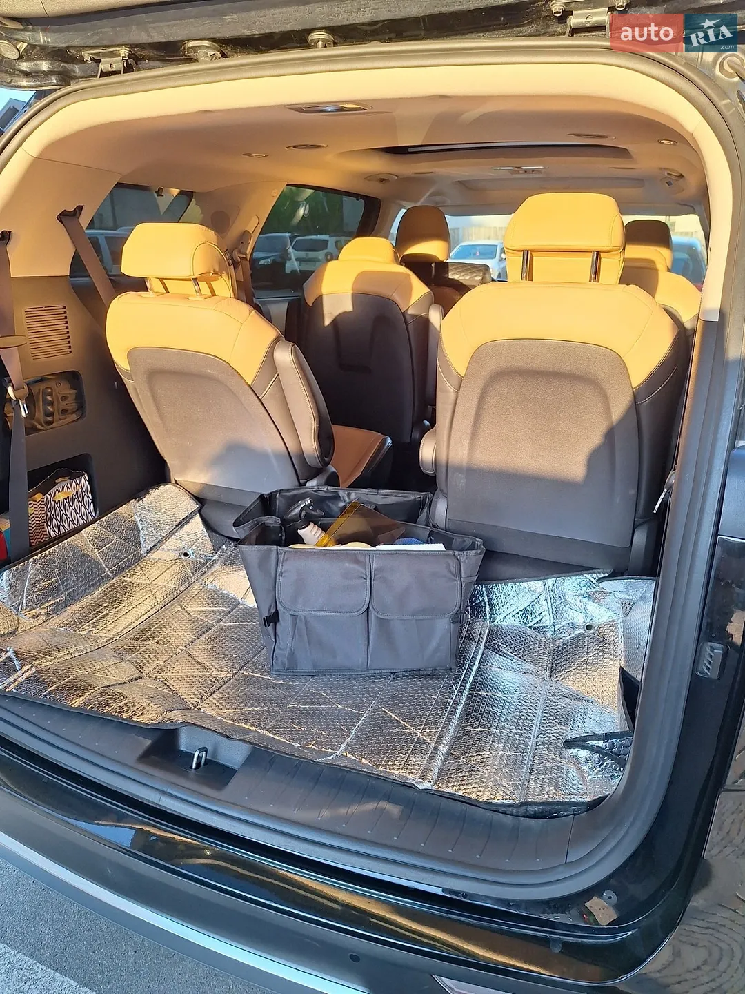 2020 Kia Carnival - мініатюра 66
