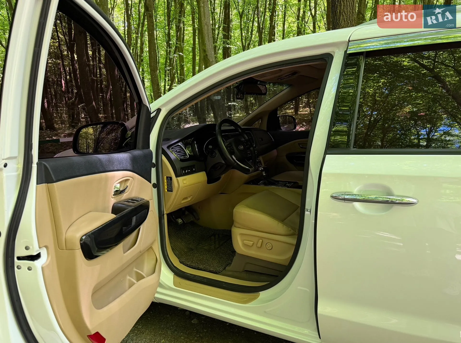 2018 Kia Carnival - мініатюра 17