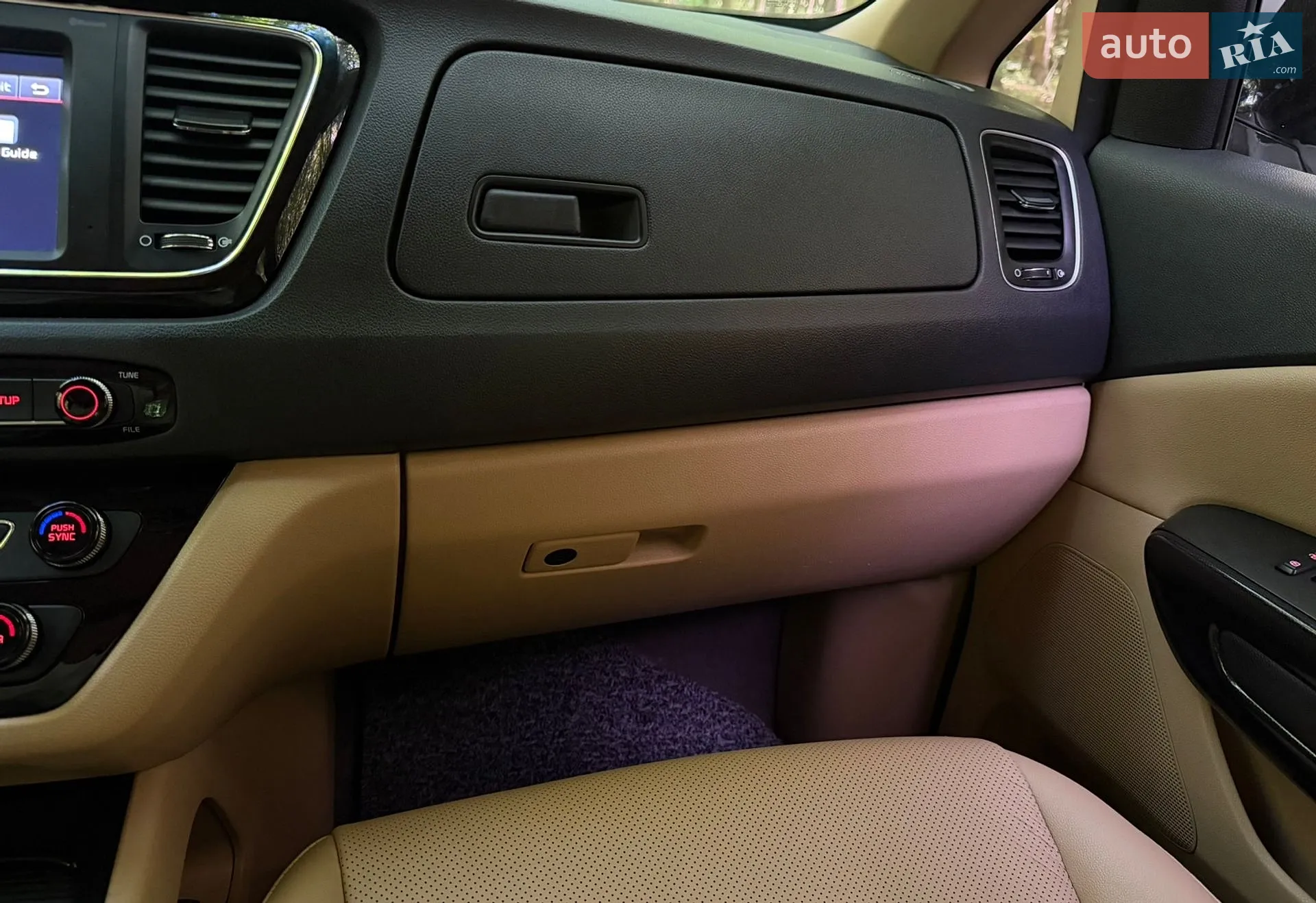 2018 Kia Carnival - мініатюра 22