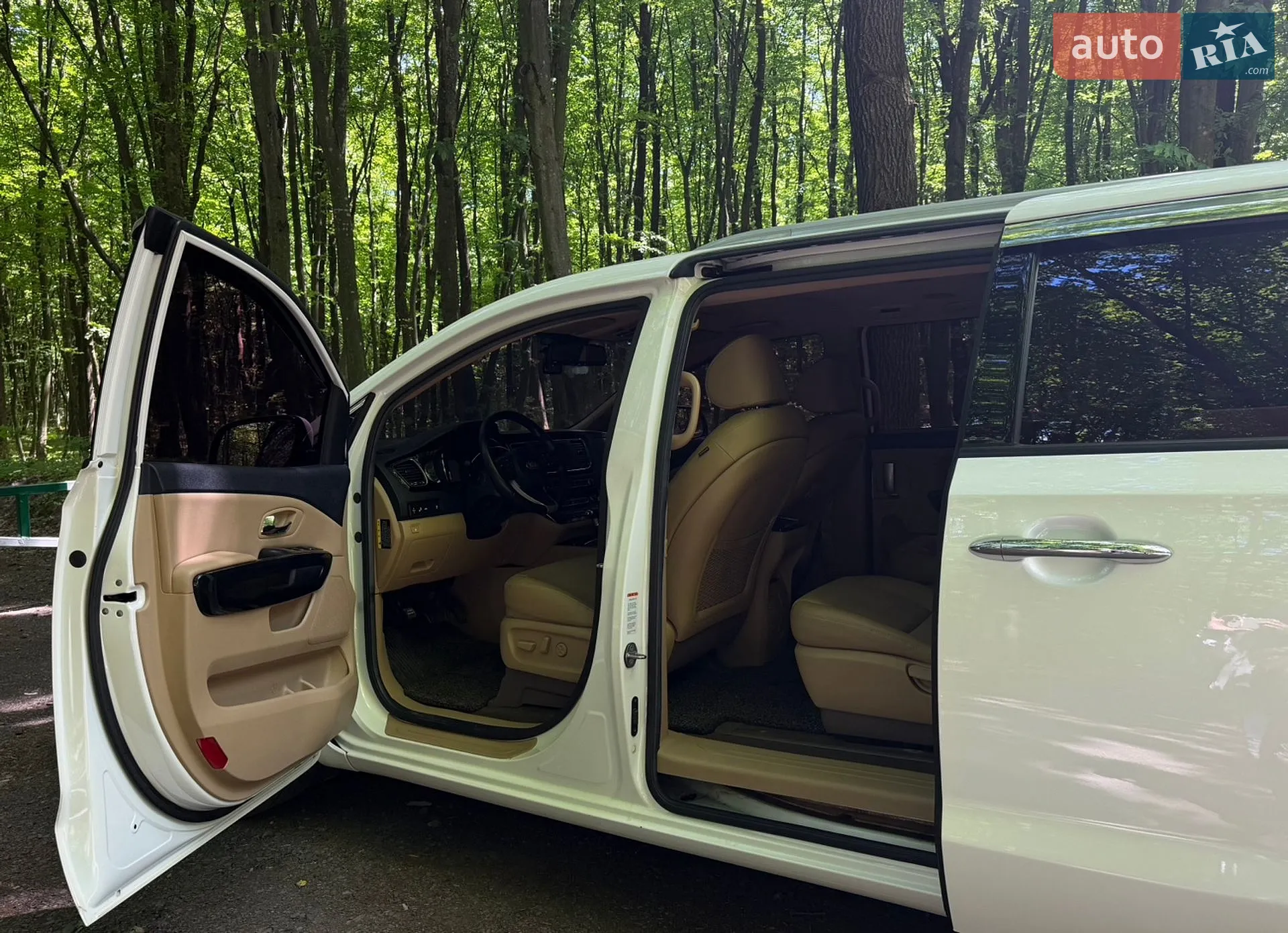 2018 Kia Carnival - мініатюра 26