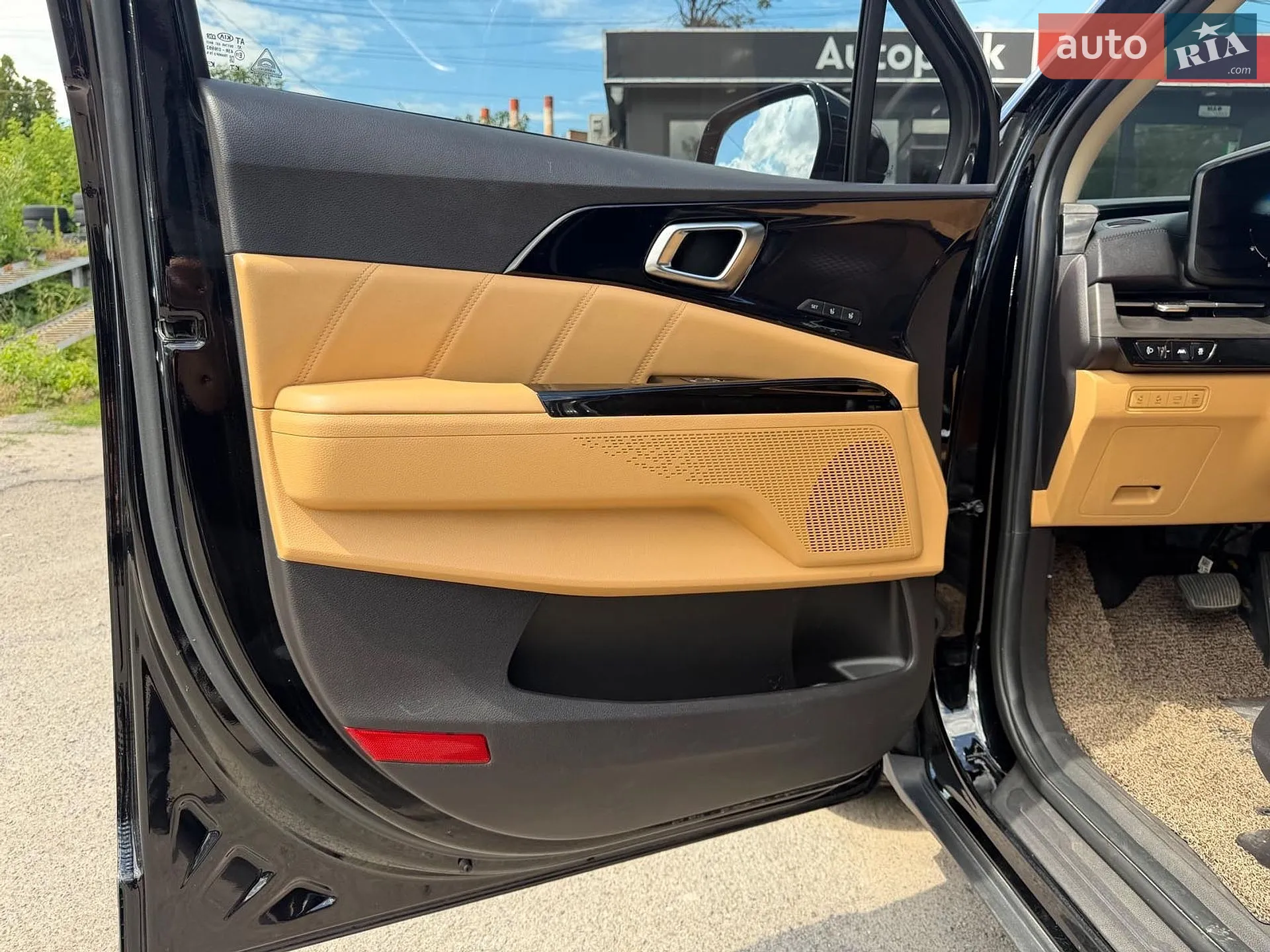 2020 Kia Carnival - мініатюра 12