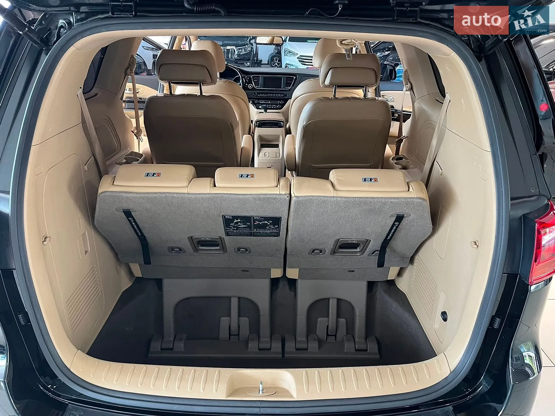 2019 Kia Carnival - мініатюра 10