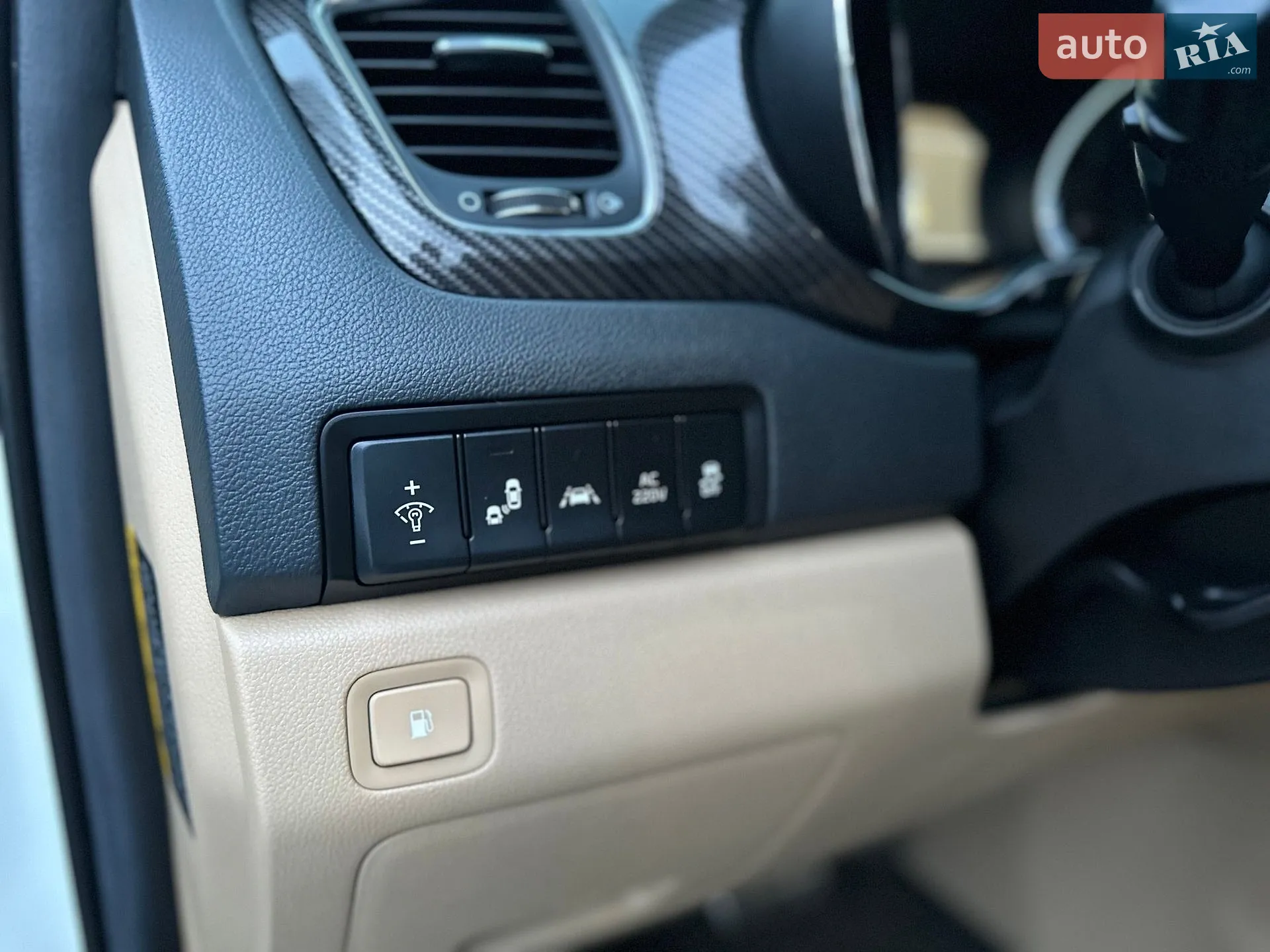 2019 Kia Carnival - мініатюра 24