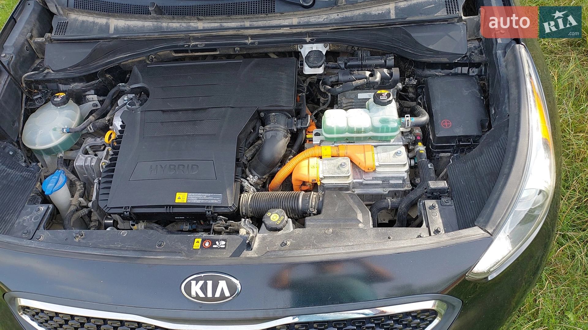 2018 Kia Niro - мініатюра 5