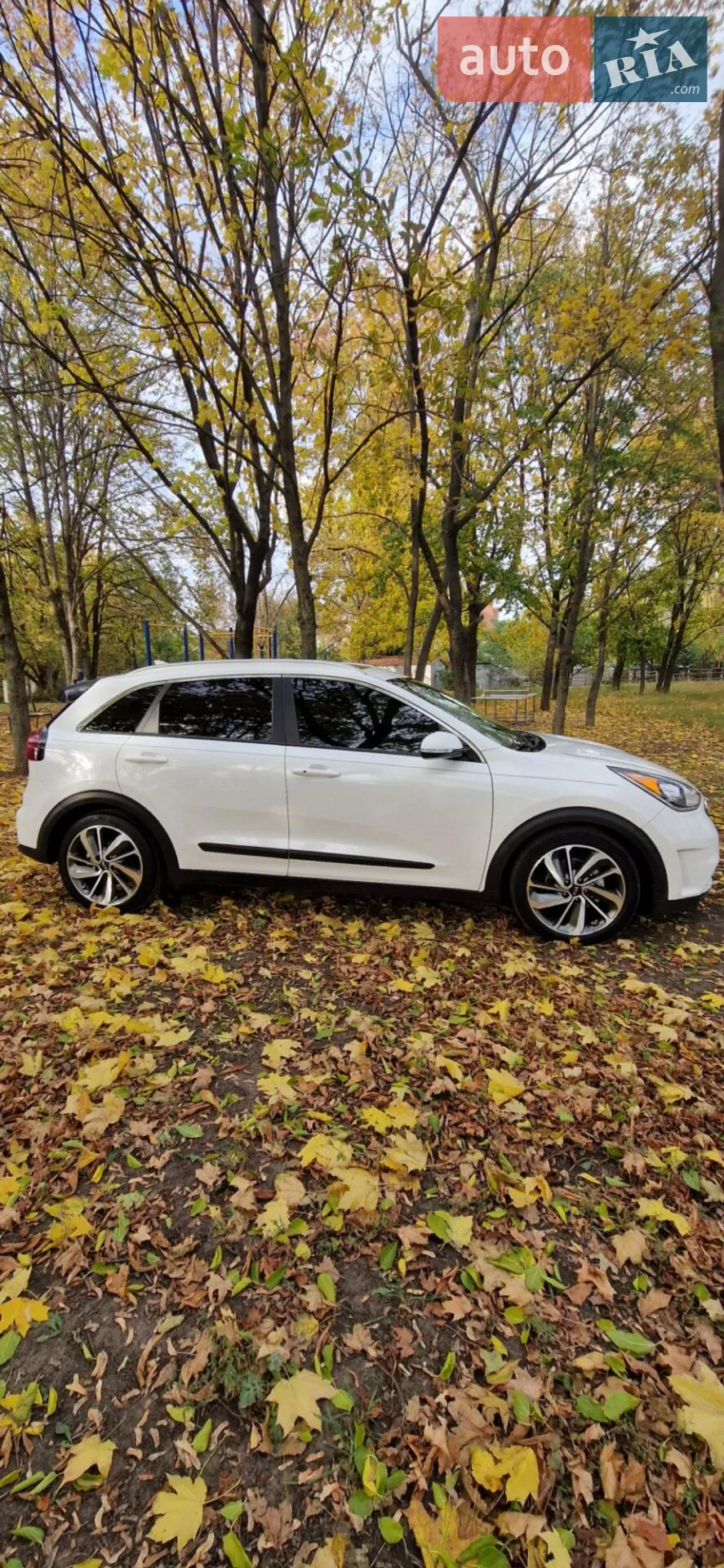 2019 Kia Niro - мініатюра 4