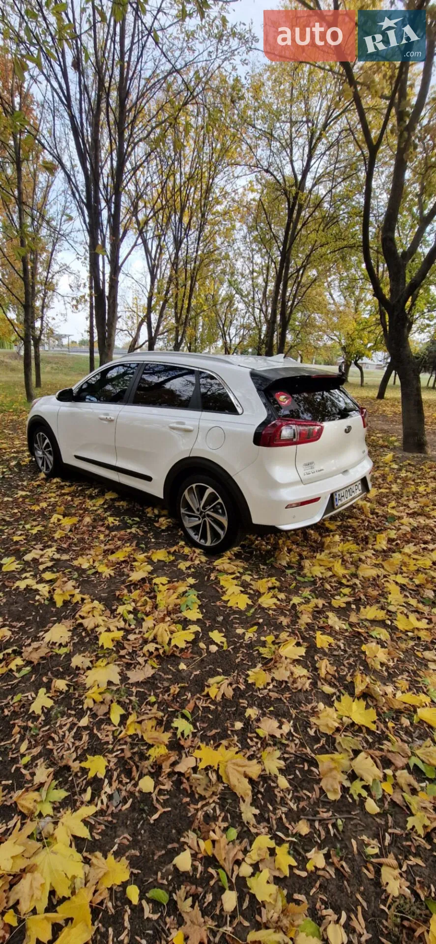 2019 Kia Niro - мініатюра 7