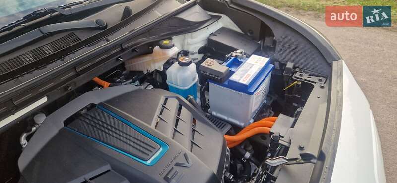 Внедорожник / Кроссовер Kia Niro 2019 в Дубно фото 11 Внедорожник / Кроссовер Kia Niro 2019 в Дубно