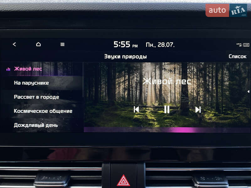 Внедорожник / Кроссовер Kia Niro 2020 в Львове фото 87 Внедорожник / Кроссовер Kia Niro 2020 в Львове