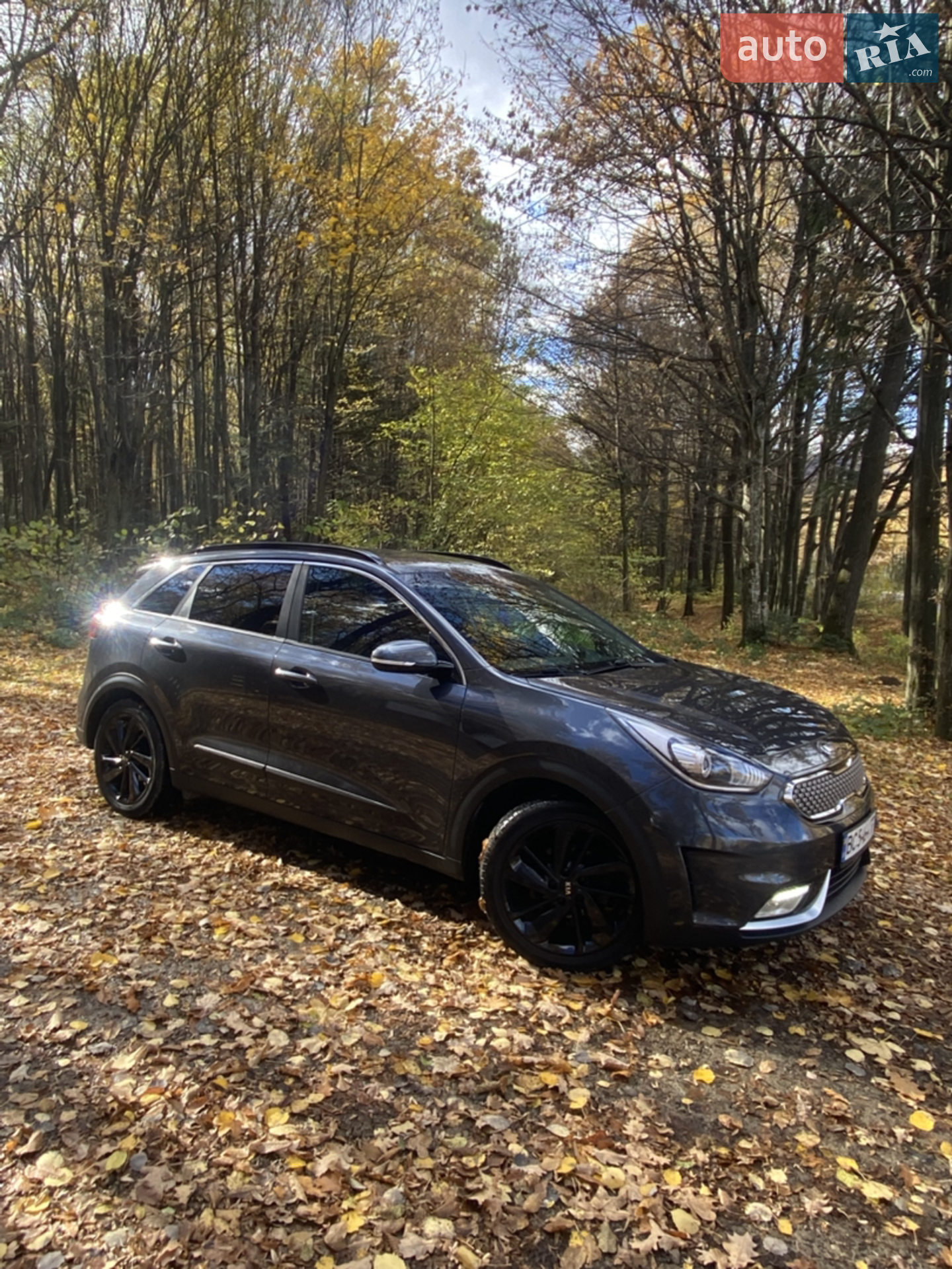 2017 Kia Niro - мініатюра 10