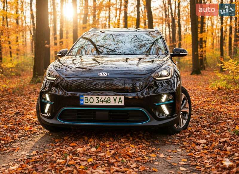 Внедорожник / Кроссовер Kia Niro 2020 в Гусятине