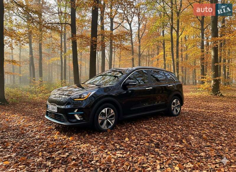 Внедорожник / Кроссовер Kia Niro 2020 в Гусятине