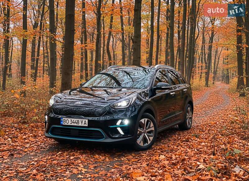 Внедорожник / Кроссовер Kia Niro 2020 в Гусятине