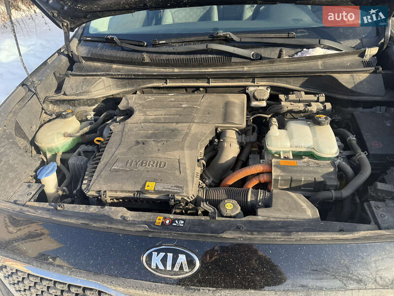 Внедорожник / Кроссовер Kia Niro 2017 в Киеве фото 6 Внедорожник / Кроссовер Kia Niro 2017 в Киеве