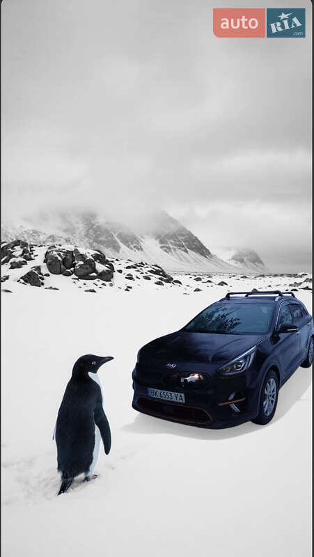 Внедорожник / Кроссовер Kia Niro 2018 в Ровно фото Внедорожник / Кроссовер Kia Niro 2018 в Ровно