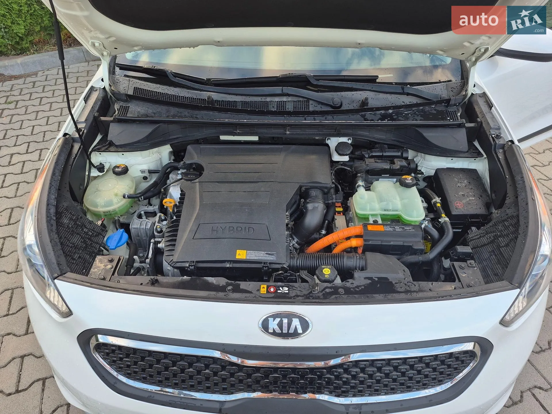 2017 Kia Niro - мініатюра 11