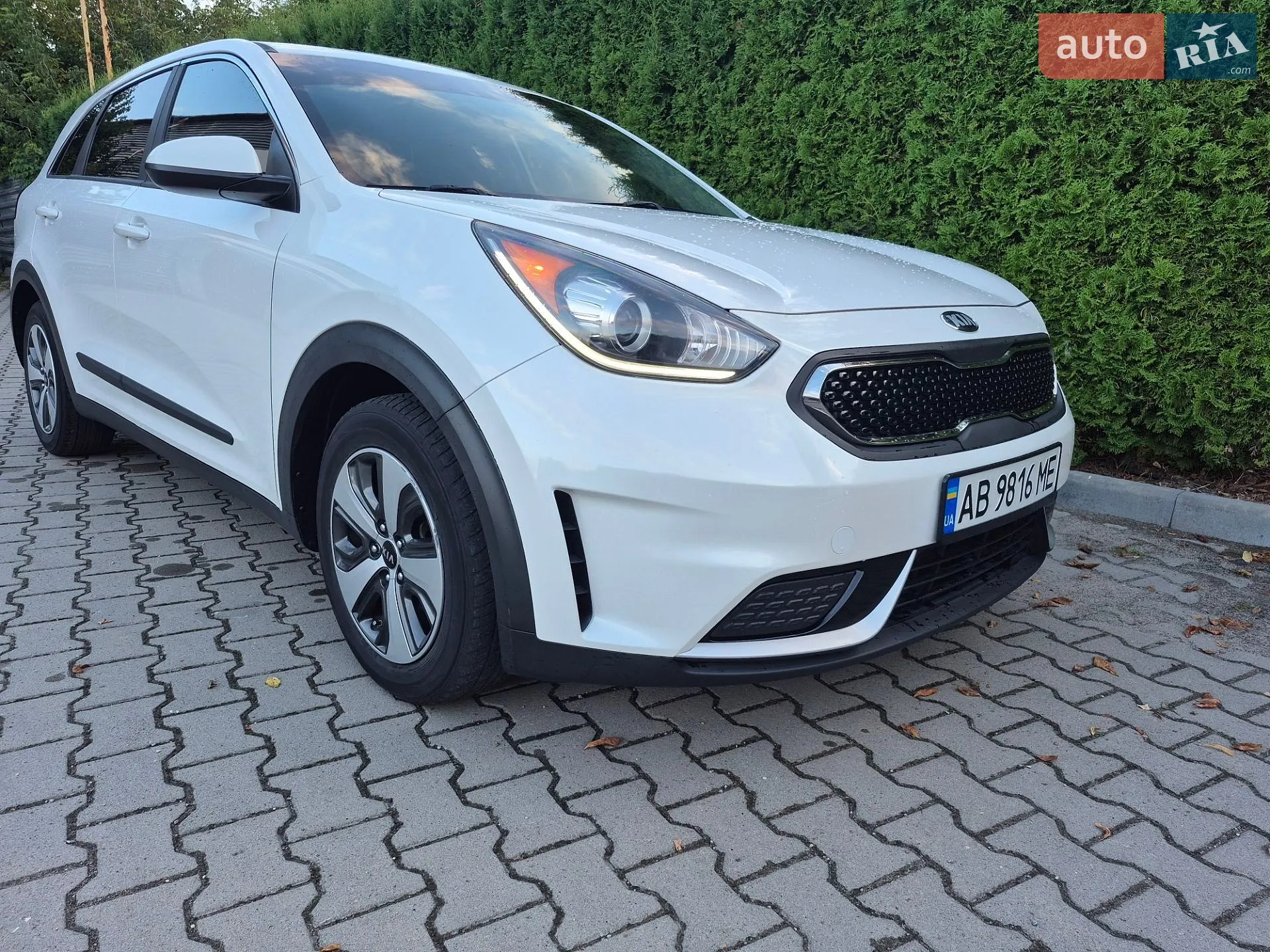2017 Kia Niro - мініатюра 13