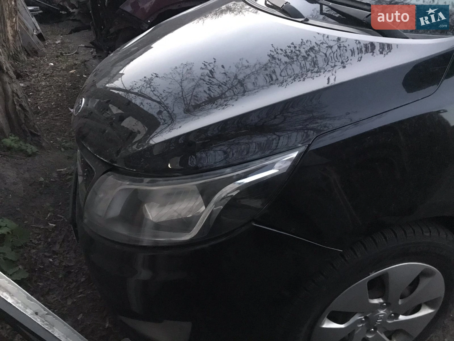 2013 Kia Rio - мініатюра 5