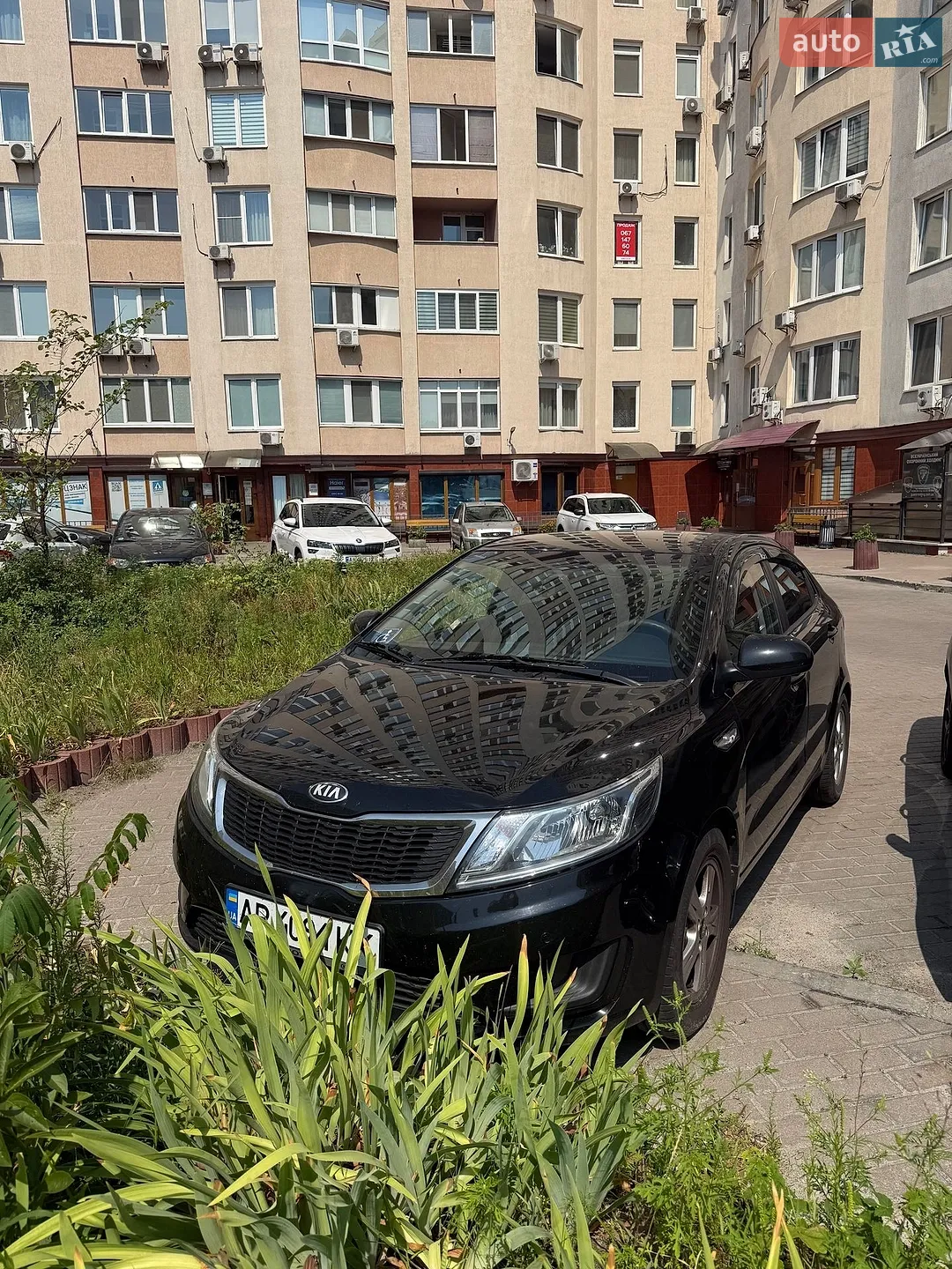 2013 Kia Rio - мініатюра 2