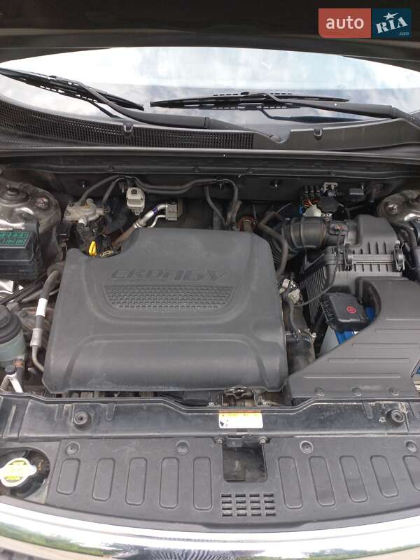 Позашляховик / Кросовер Kia Sorento 2010 в Бершаді фото 12 Позашляховик / Кросовер Kia Sorento 2010 в Бершаді