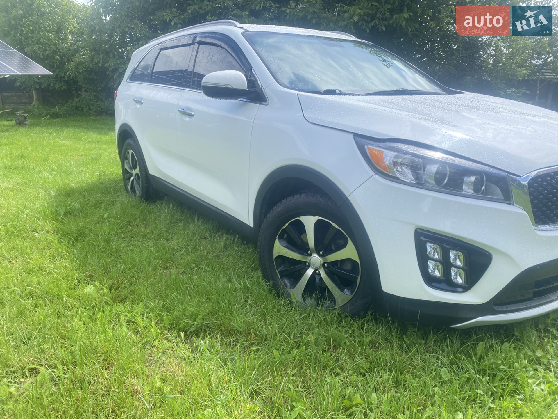 2016 Kia Sorento - мініатюра 2