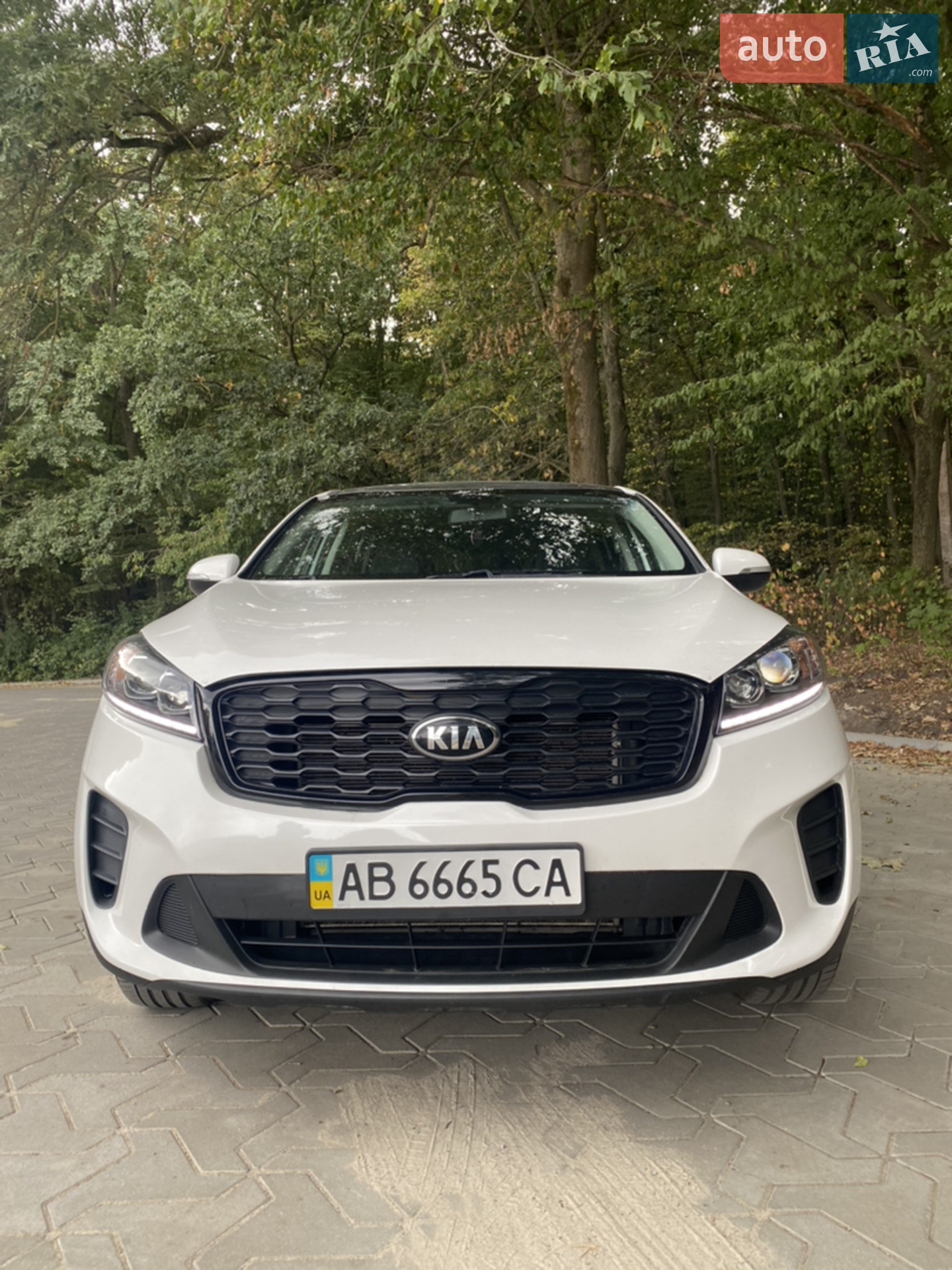 2018 Kia Sorento - мініатюра 16