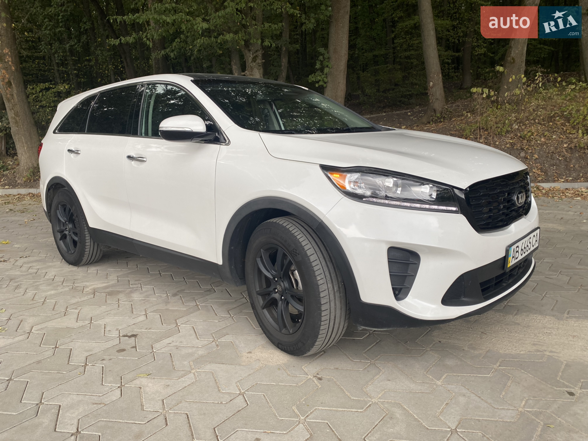 2018 Kia Sorento - мініатюра 10