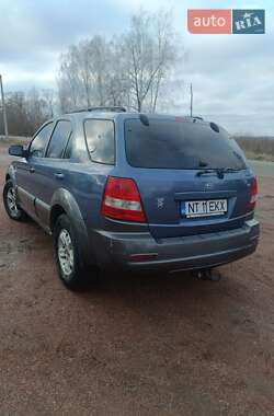 Внедорожник / Кроссовер Kia Sorento 2004 в Звягеле