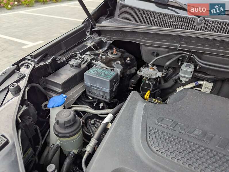 Внедорожник / Кроссовер Kia Sorento 2010 в Луцке фото 54 Внедорожник / Кроссовер Kia Sorento 2010 в Луцке