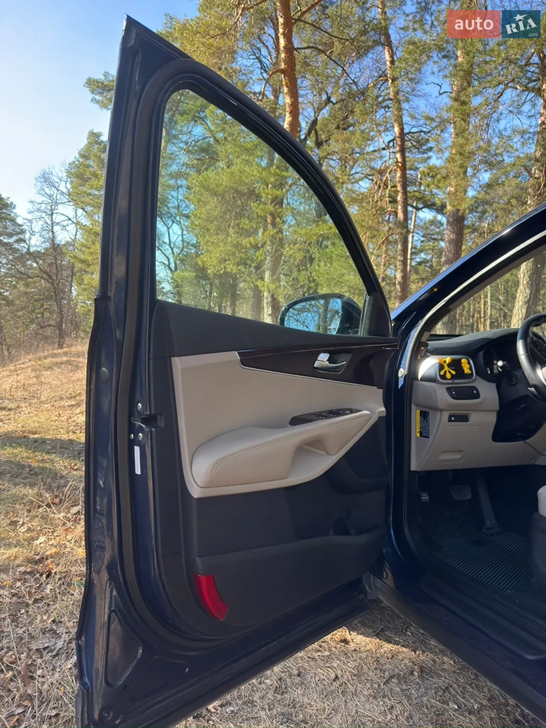 2016 Kia Sorento - мініатюра 13