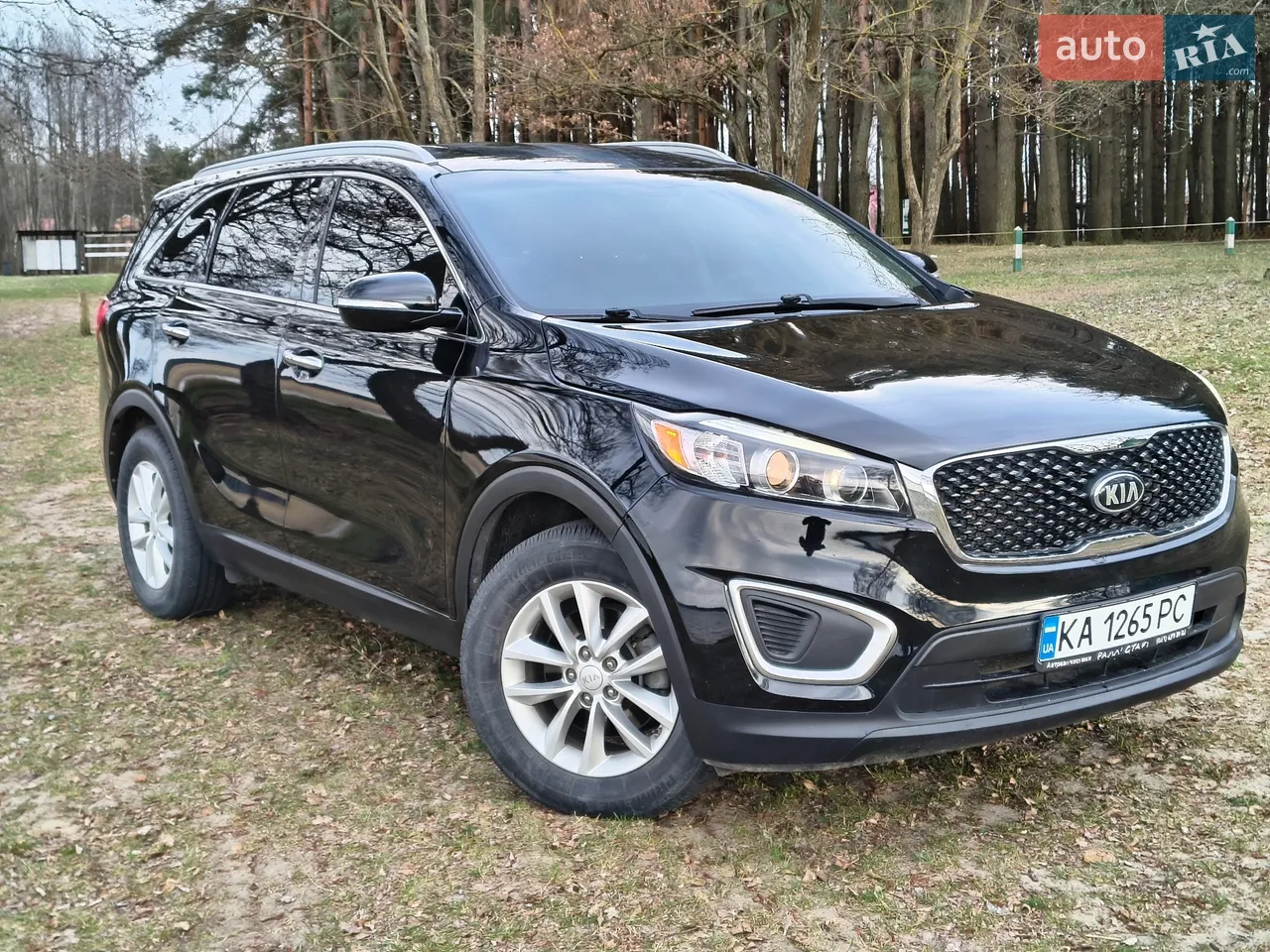 2017 Kia Sorento - мініатюра 47