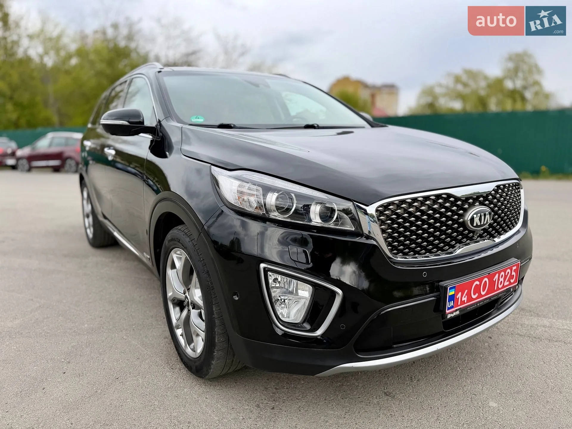 2016 Kia Sorento - мініатюра 11