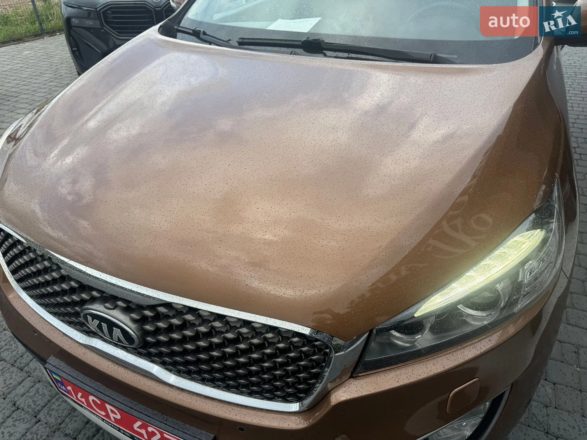 2016 Kia Sorento - мініатюра 13