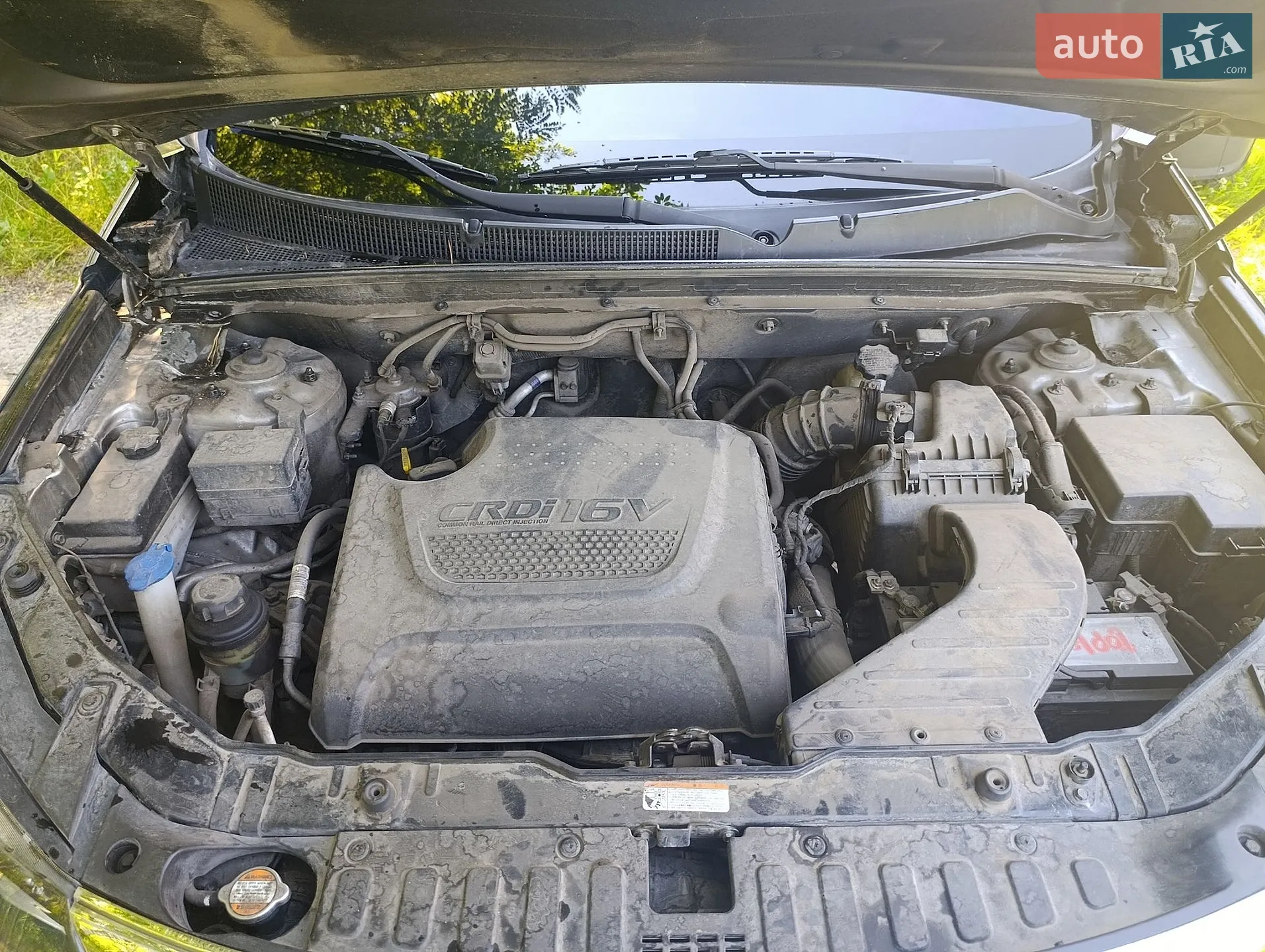 2010 Kia Sorento - мініатюра 21