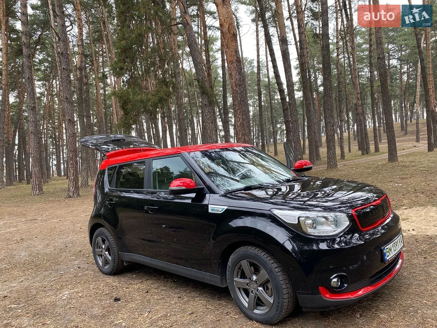 2016 Kia Soul EV - мініатюра 6