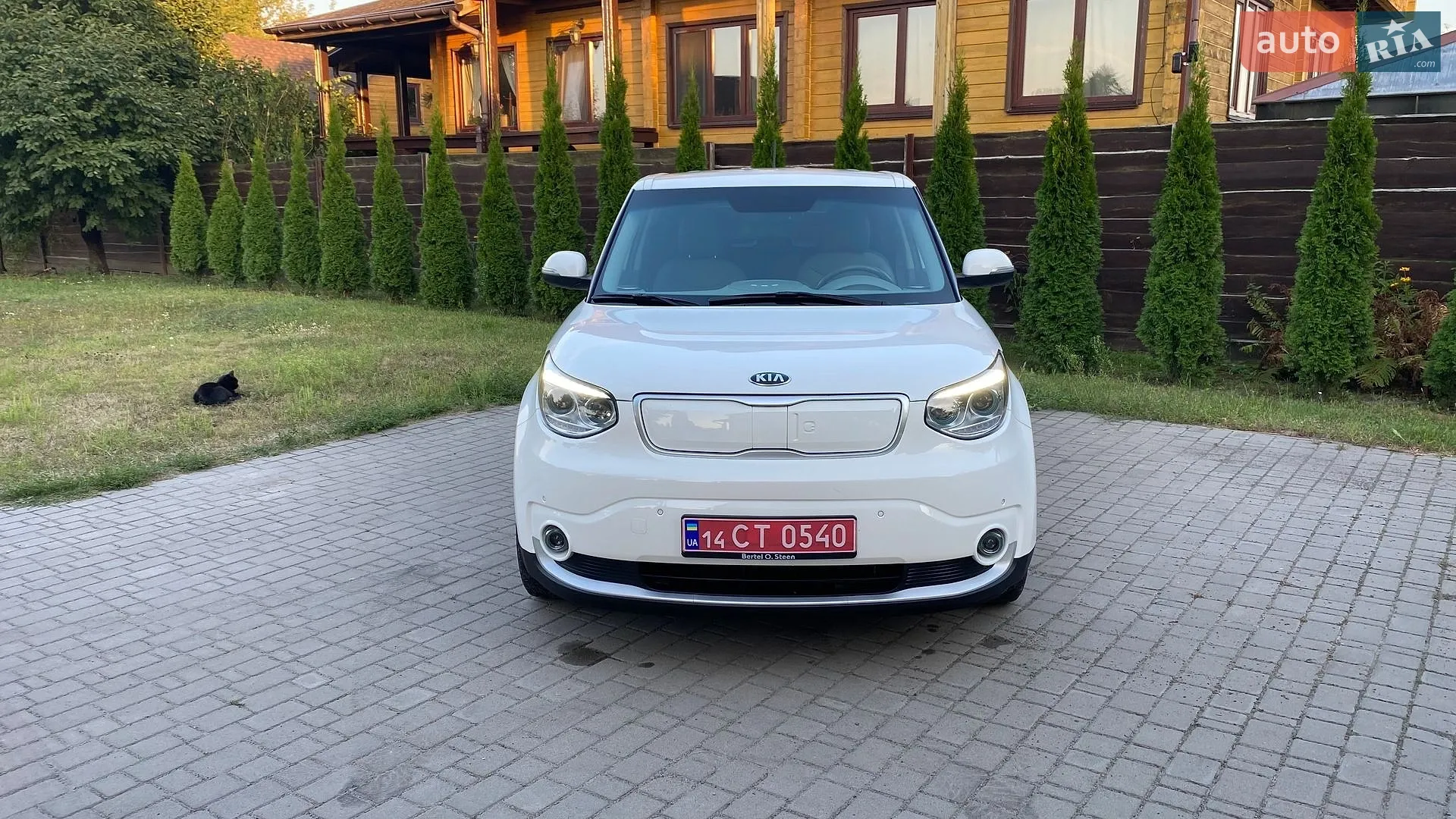 2015 Kia Soul EV - мініатюра 2