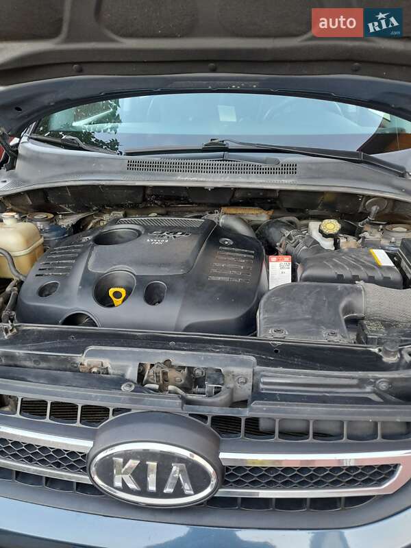 Внедорожник / Кроссовер Kia Sportage 2009 в Бережанах фото 14 Внедорожник / Кроссовер Kia Sportage 2009 в Бережанах