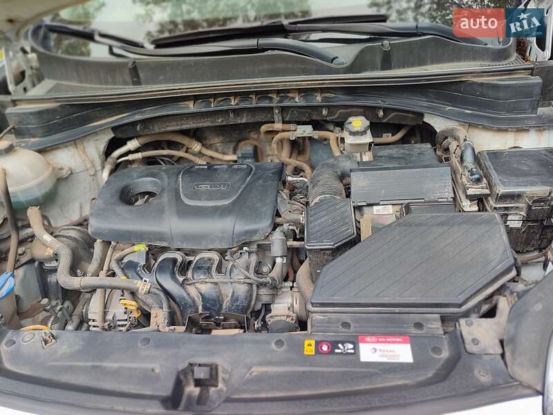 Позашляховик / Кросовер Kia Sportage 2019 в Вінниці