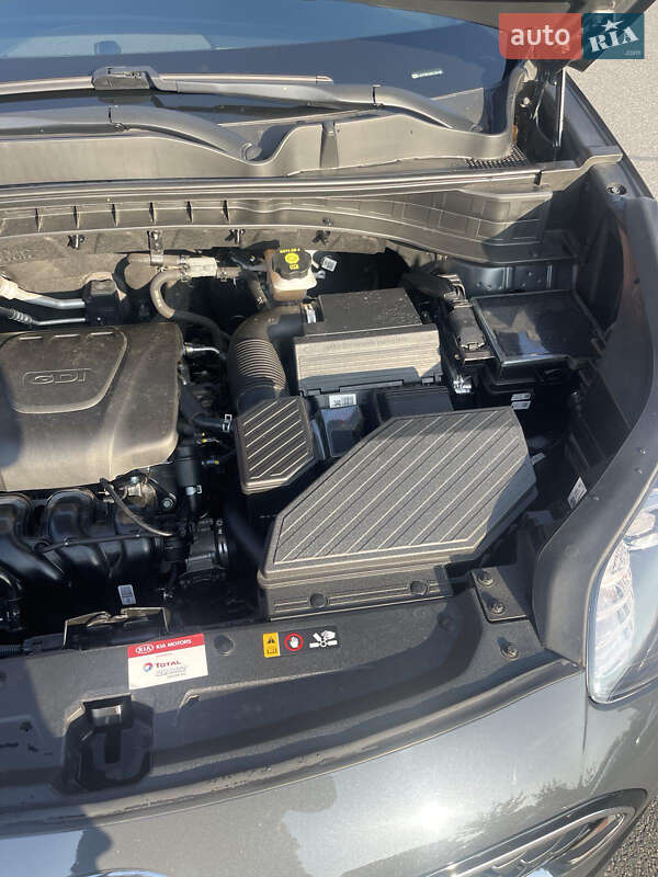 Внедорожник / Кроссовер Kia Sportage 2021 в Запорожье фото 13 Внедорожник / Кроссовер Kia Sportage 2021 в Запорожье