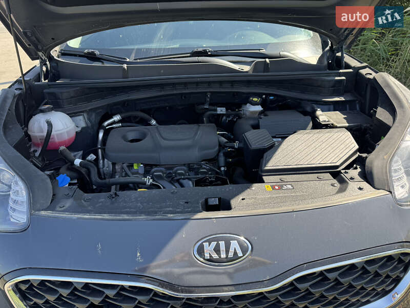 Внедорожник / Кроссовер Kia Sportage 2021 в Балаклее фото 2 Внедорожник / Кроссовер Kia Sportage 2021 в Балаклее