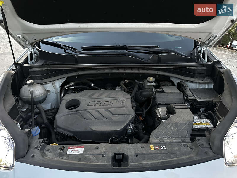 Внедорожник / Кроссовер Kia Sportage 2020 в Днепре