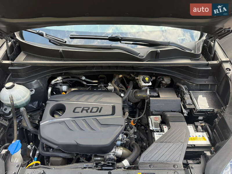 Внедорожник / Кроссовер Kia Sportage 2020 в Днепре фото 29 Внедорожник / Кроссовер Kia Sportage 2020 в Днепре