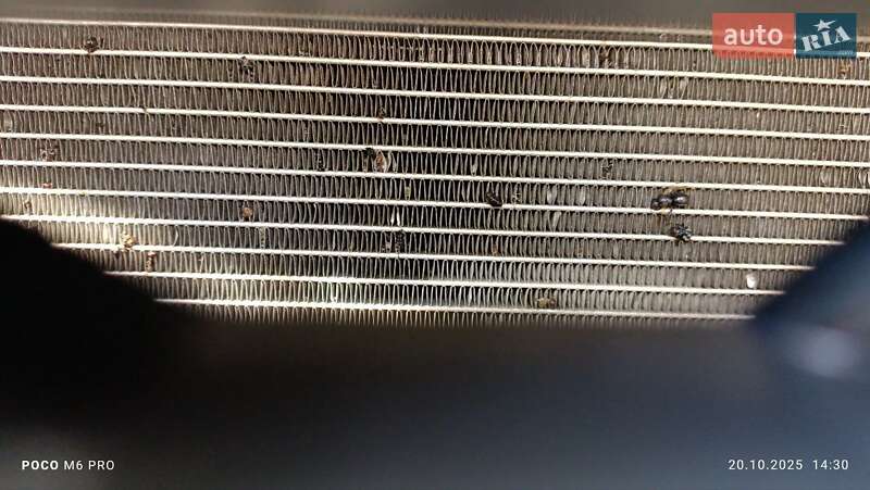 Позашляховик / Кросовер Kia Sportage 2020 в Миколаєві