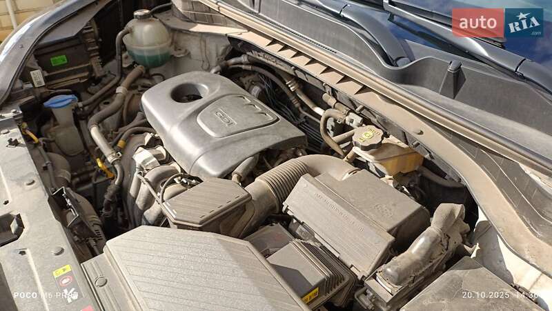 Позашляховик / Кросовер Kia Sportage 2020 в Миколаєві