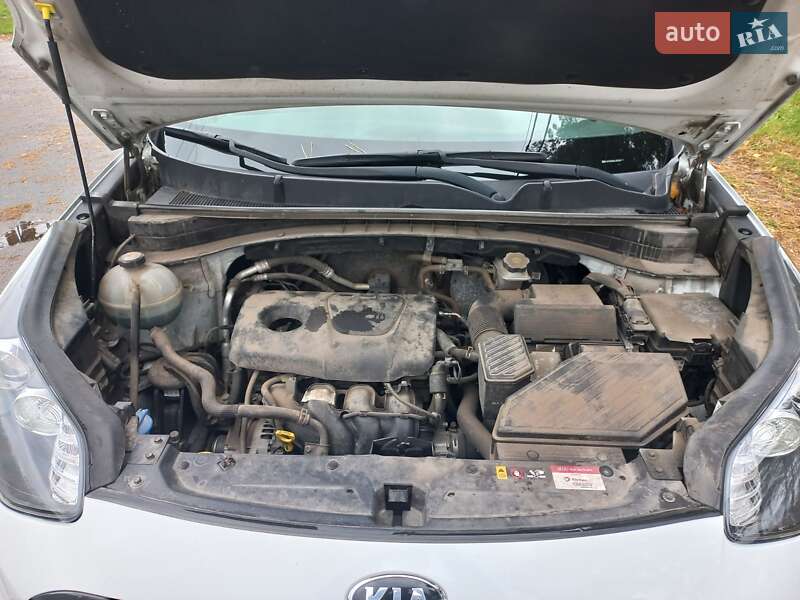 Внедорожник / Кроссовер Kia Sportage 2019 в Киеве