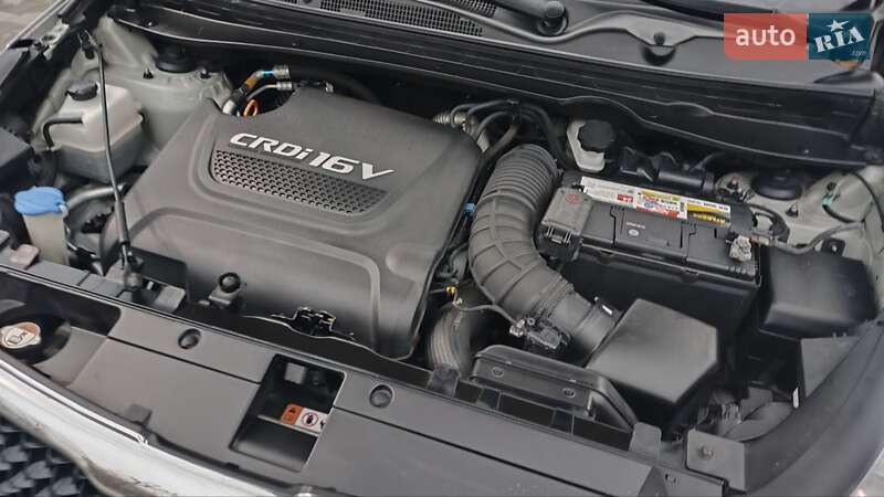 Внедорожник / Кроссовер Kia Sportage 2015 в Киеве