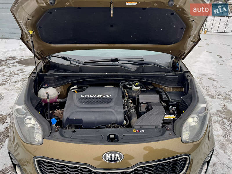 Позашляховик / Кросовер Kia Sportage 2016 в Полтаві фото 64 Позашляховик / Кросовер Kia Sportage 2016 в Полтаві