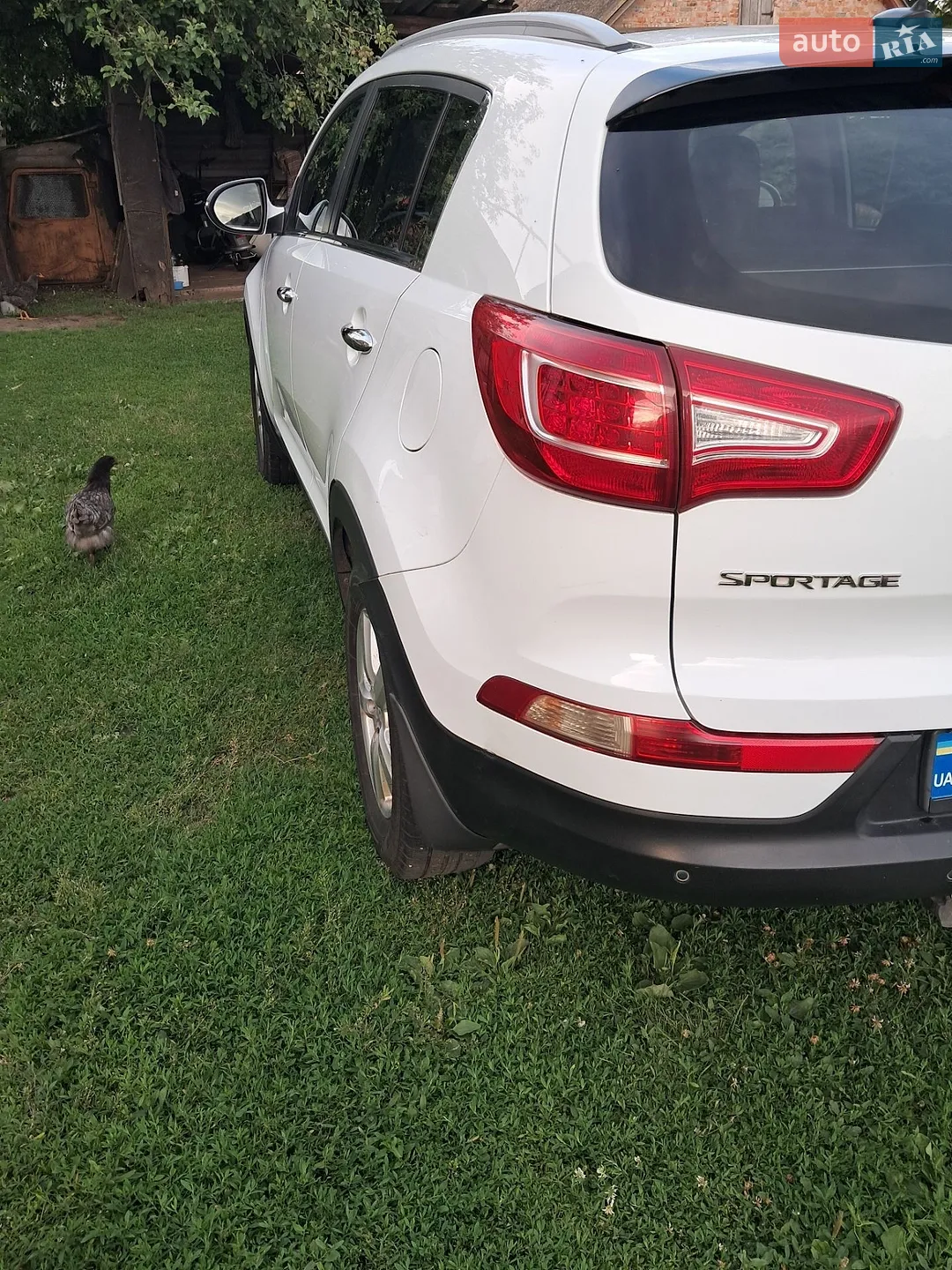 KIA Sportage 2011 VIN U5YPC815ACL104346 фото оголошення 5 з 5
